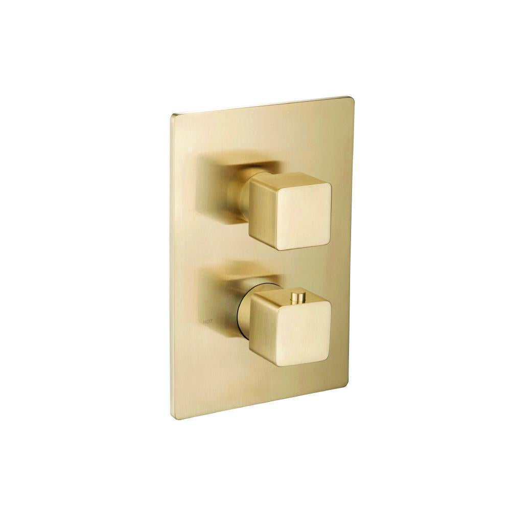 196.7050 - Two Output Shower Set - Shower Head And Hand Held