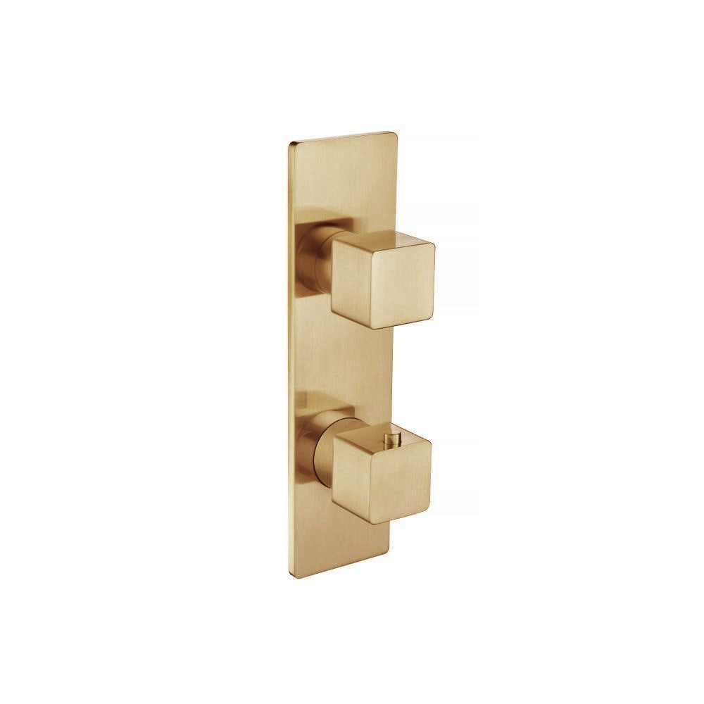 Serie 196™ - 3/4" Thermostatic Shower Valve & Trim 2-Output