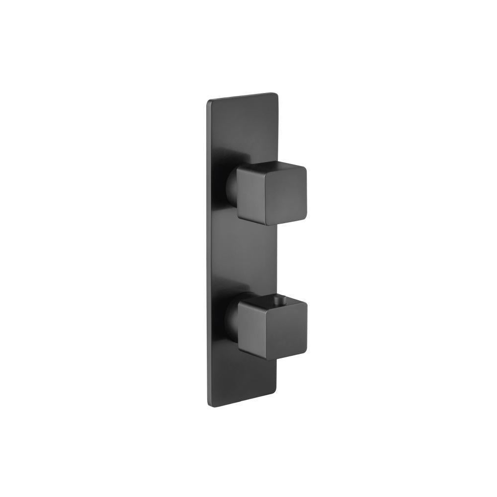 Serie 196™ - 3/4" Thermostatic Shower Valve & Trim 2-Output