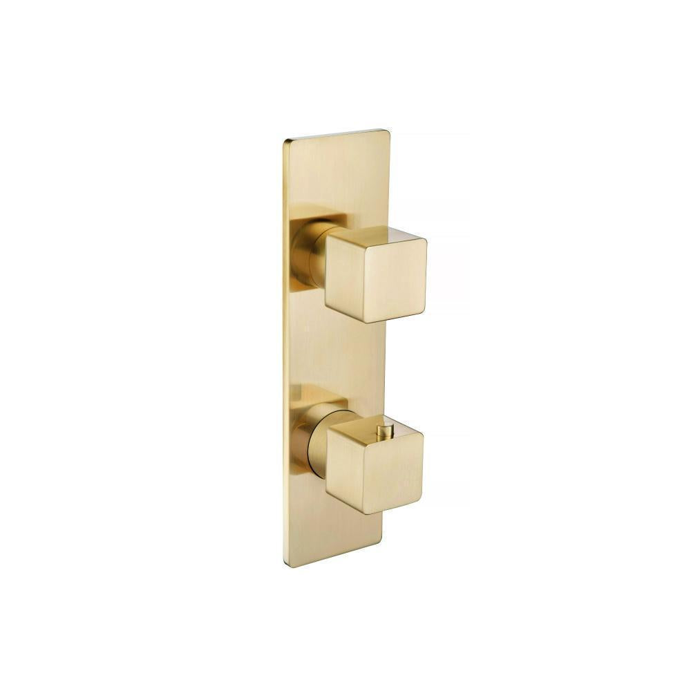 Serie 196™ - 3/4" Thermostatic Shower Valve & Trim 2-Output