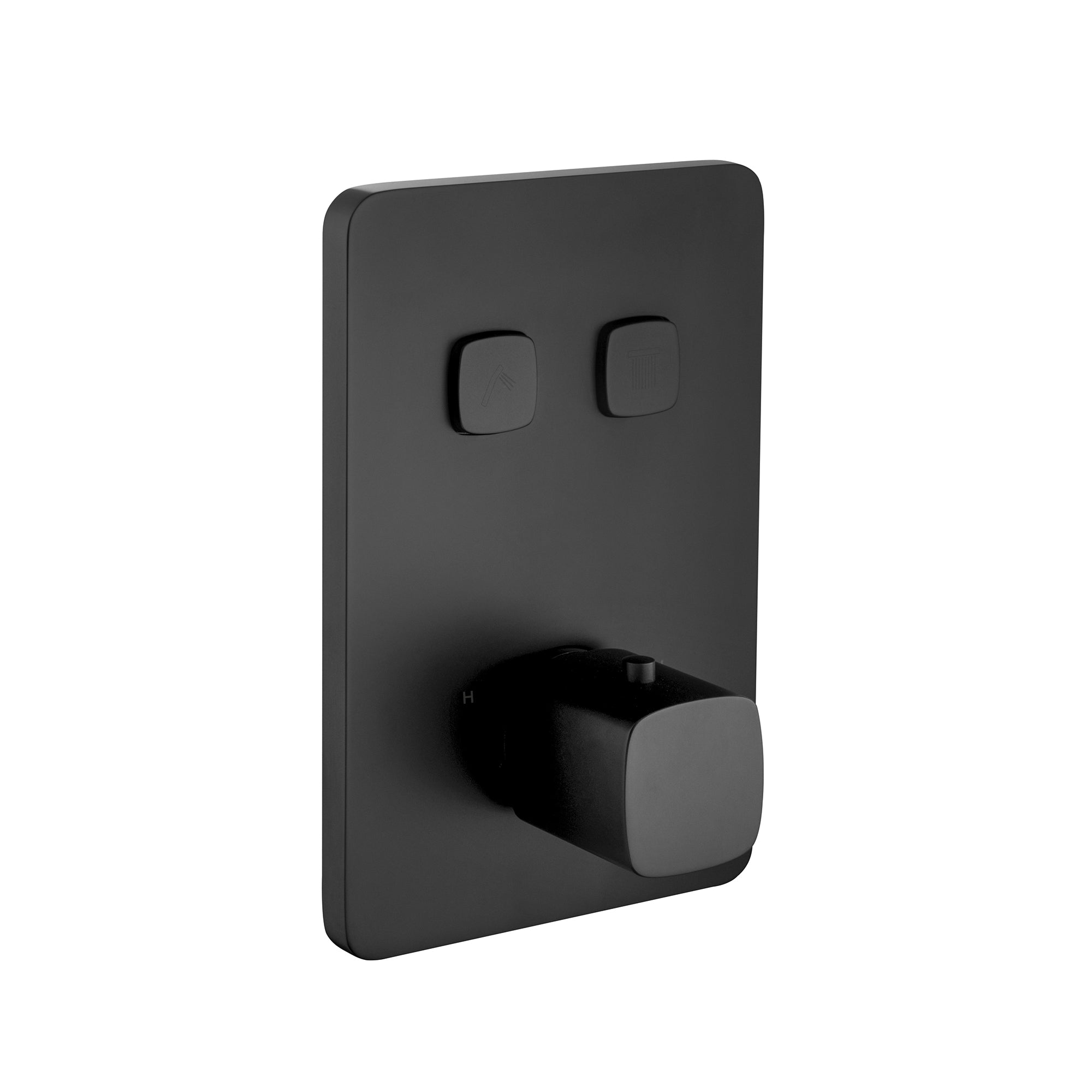 Two-Way Push Thermostatic Valve & Trim Set