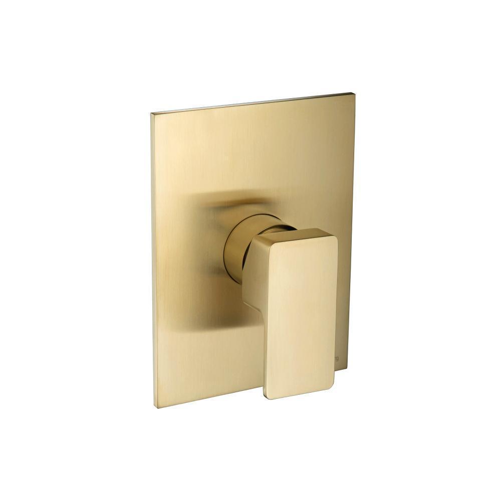 196.3050 - Single Output Shower Set - Brass Shower Head & Arm