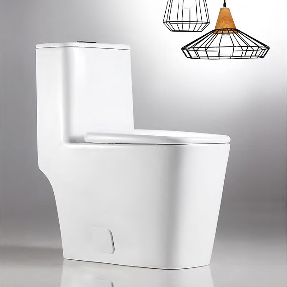 Binli® 818 One-Piece Toilet, 1.28 & 0.9 GPF