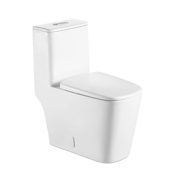 BinliÂ® BL-818-OPT One-Piece Toilet, 1.28 &0.9 GPF